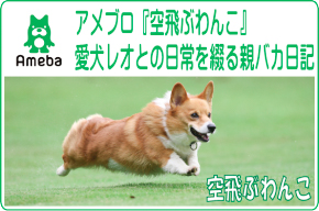 link_ameba